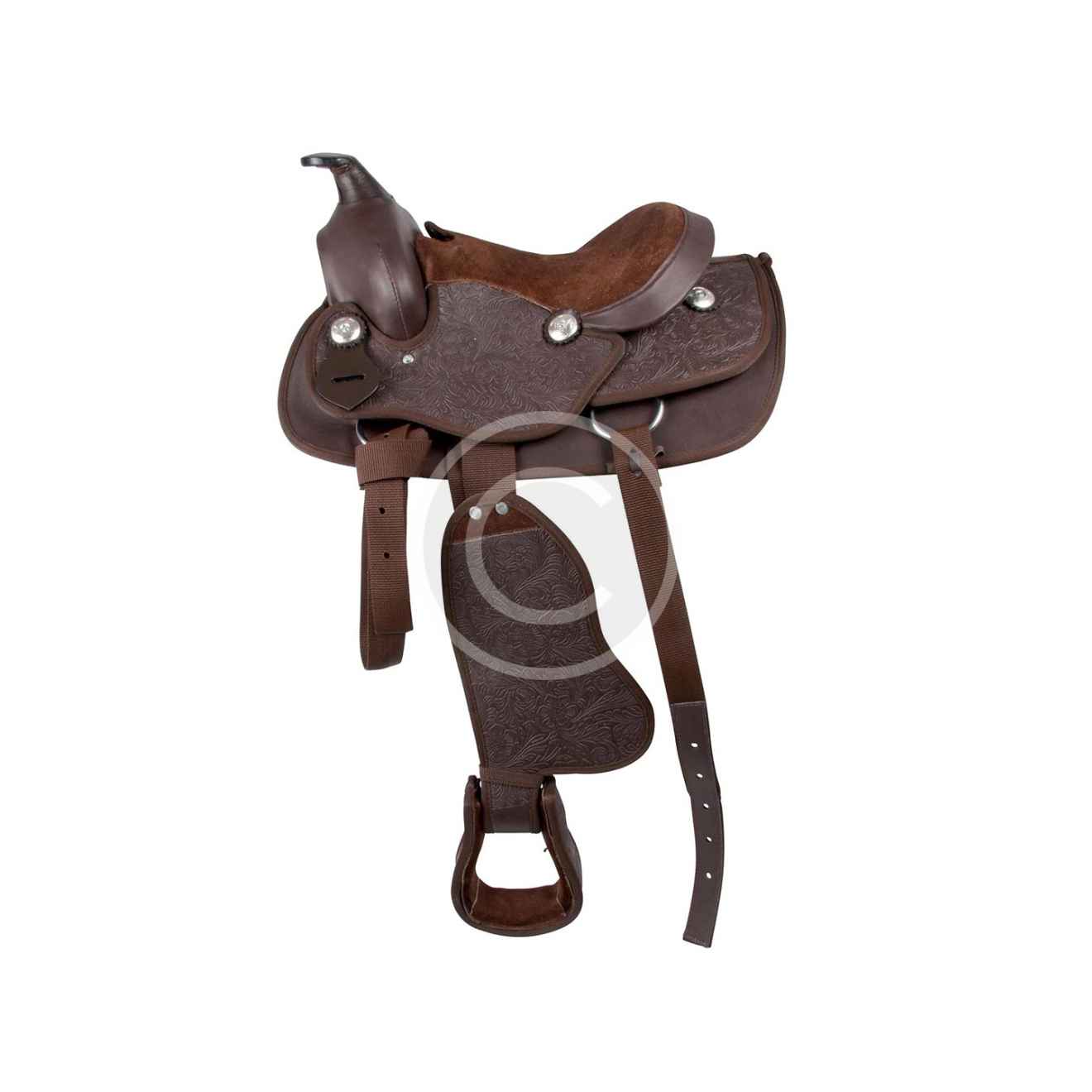 Matte Shell Shield - Image 2