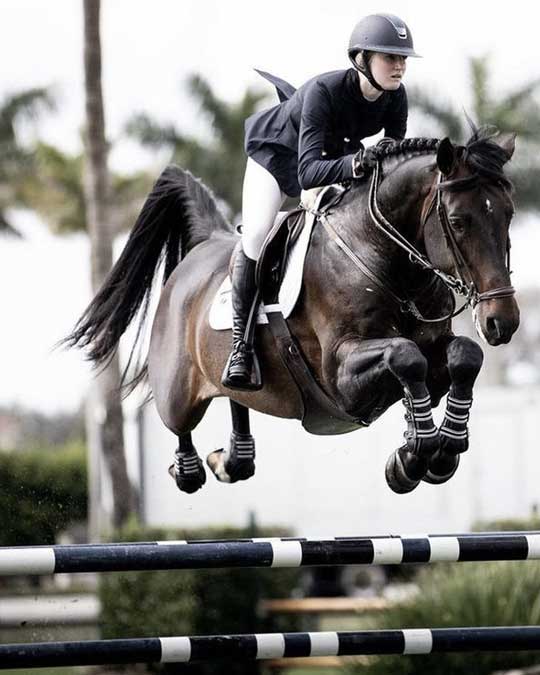 Entrenamiento & Performance