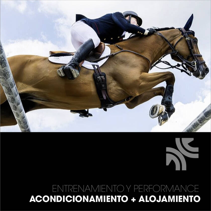 Paquete 1: Acondicionamiento + Alojamiento