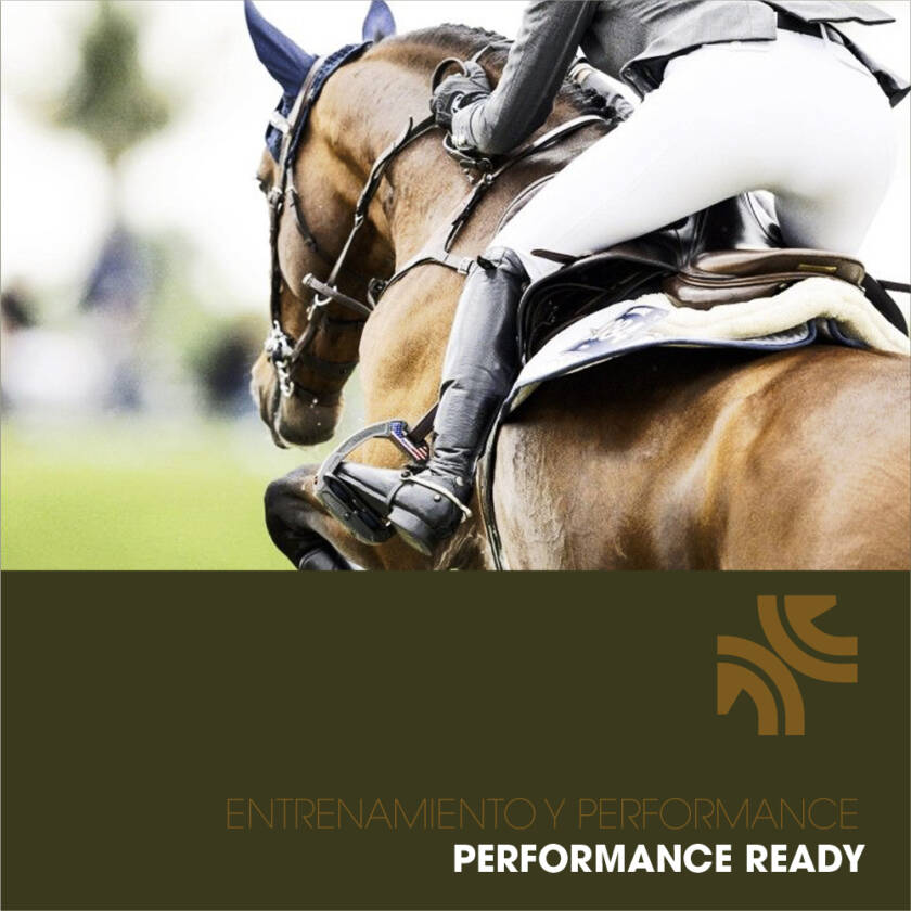 Paquete 2: Performance Ready (8 semanas)