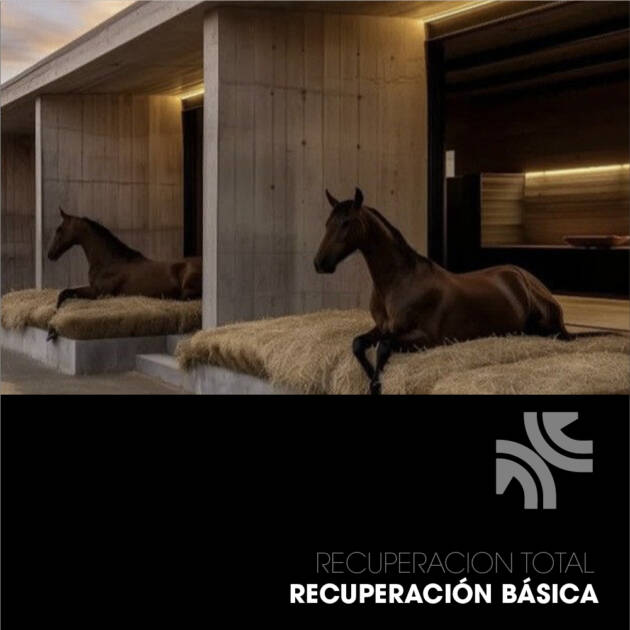 PLAN 1 — Recuperación Básica (Rehabilitación Inicial)