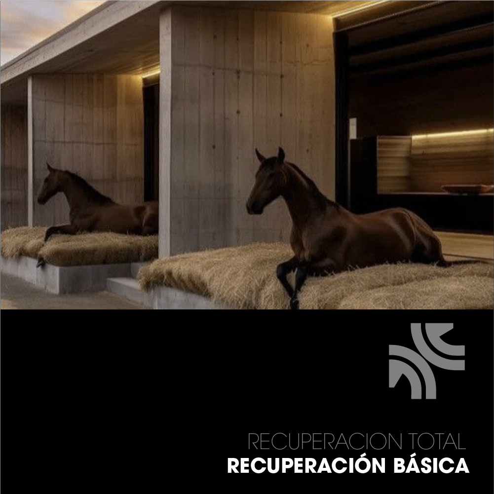 PLAN 1 — Recuperación Básica (Rehabilitación Inicial)