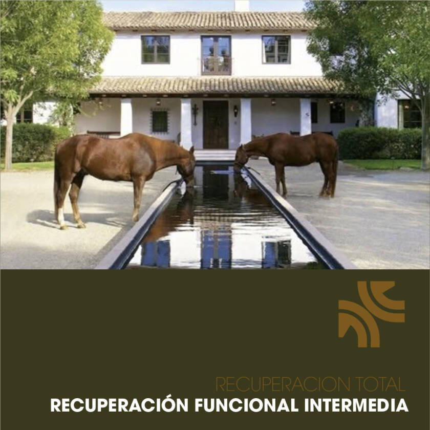 PLAN 2 — Recuperación Funcional Intermedia