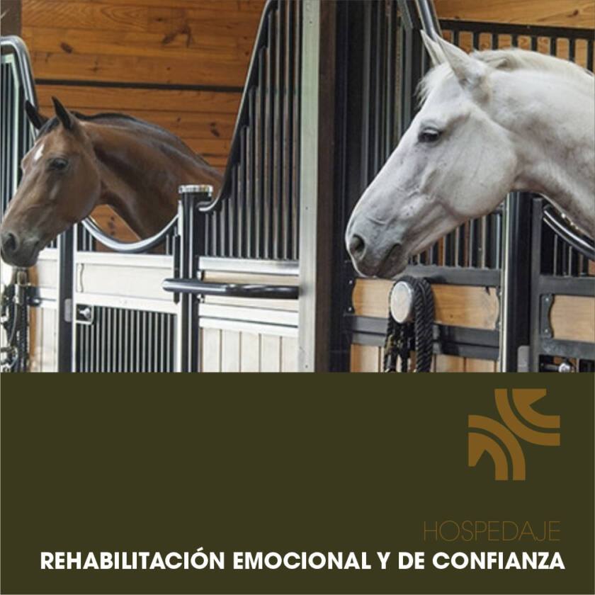 Rehabilitación Emocional y de Confianza